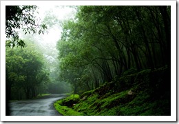 10542403_10153044386554829_5182188459906092273_o